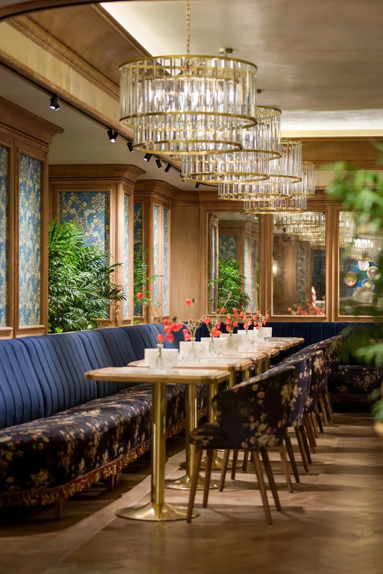 Bella — Restaurant in Dnipro, Ukraine (photo 3)