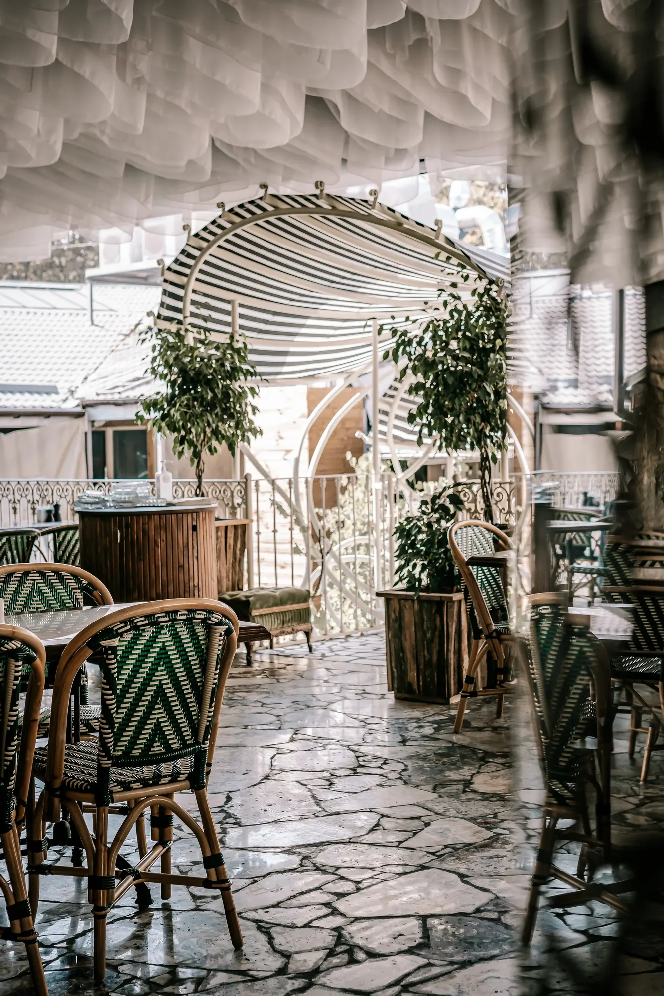 Monica Summer — Restaurant in Odesa, Ukraine (photo 3)