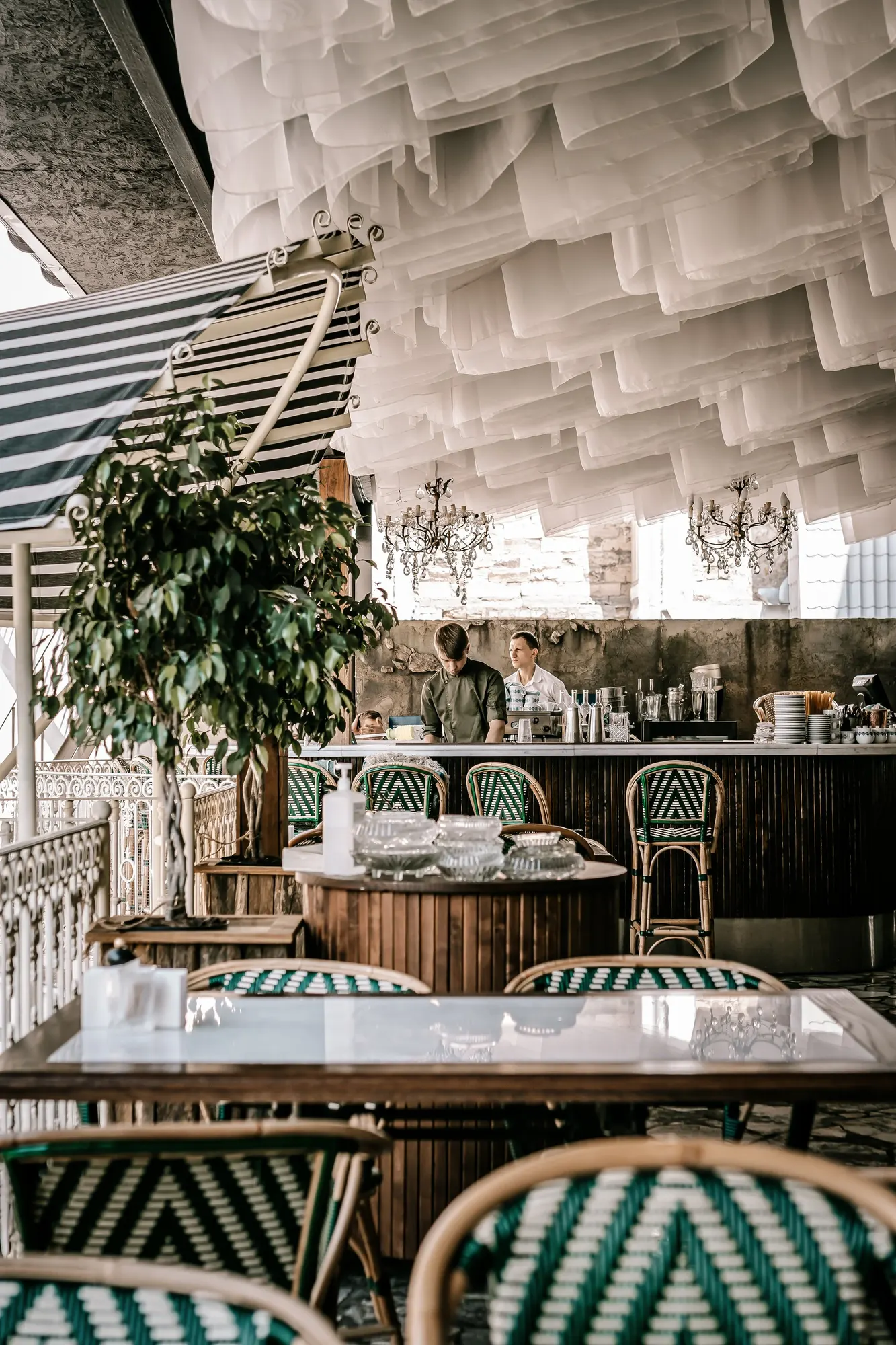 Monica Summer — Restaurant in Odesa, Ukraine (photo 5)