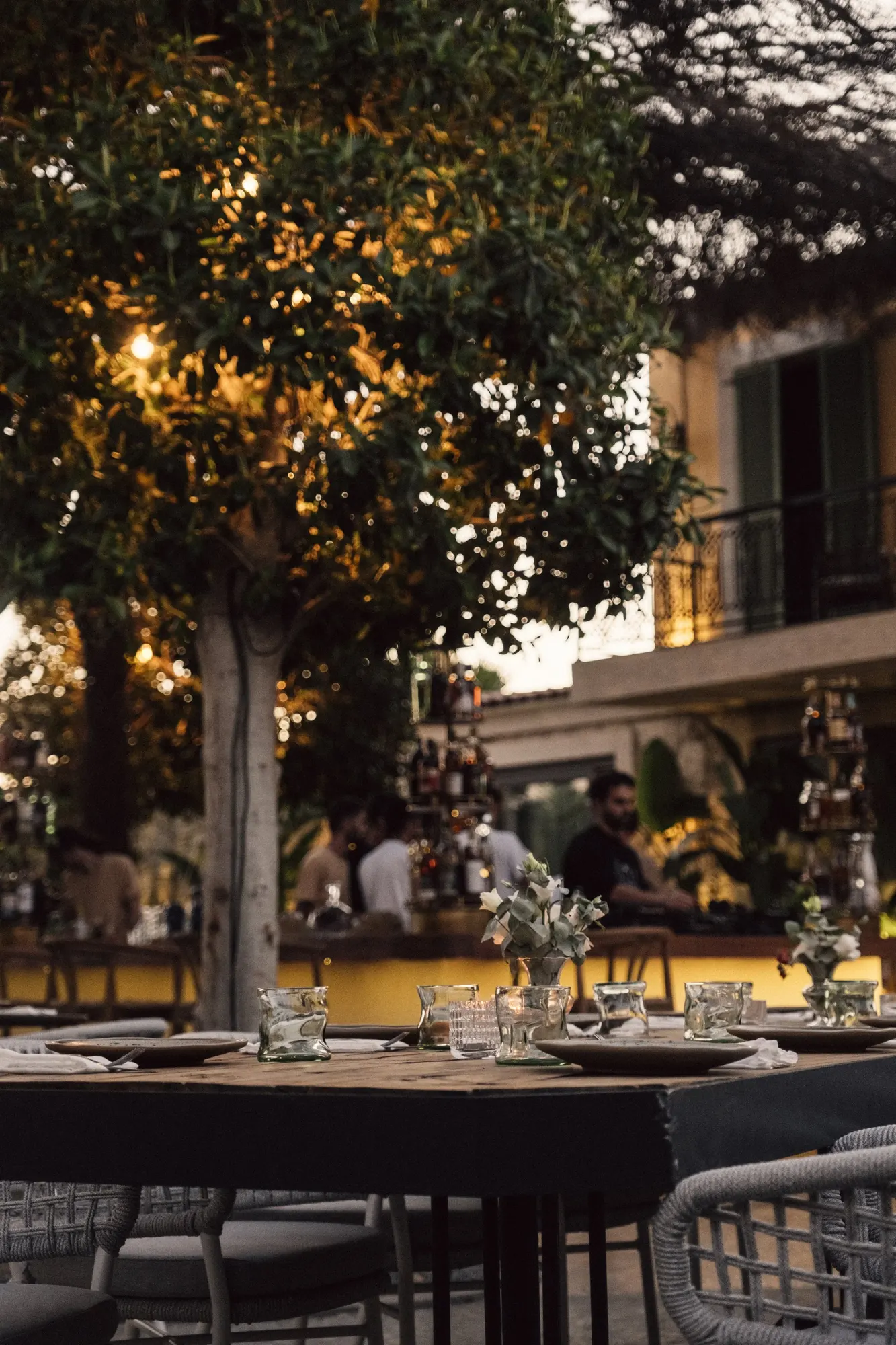 Sereia — Restaurant in Alachati, Turkey (photo 2)