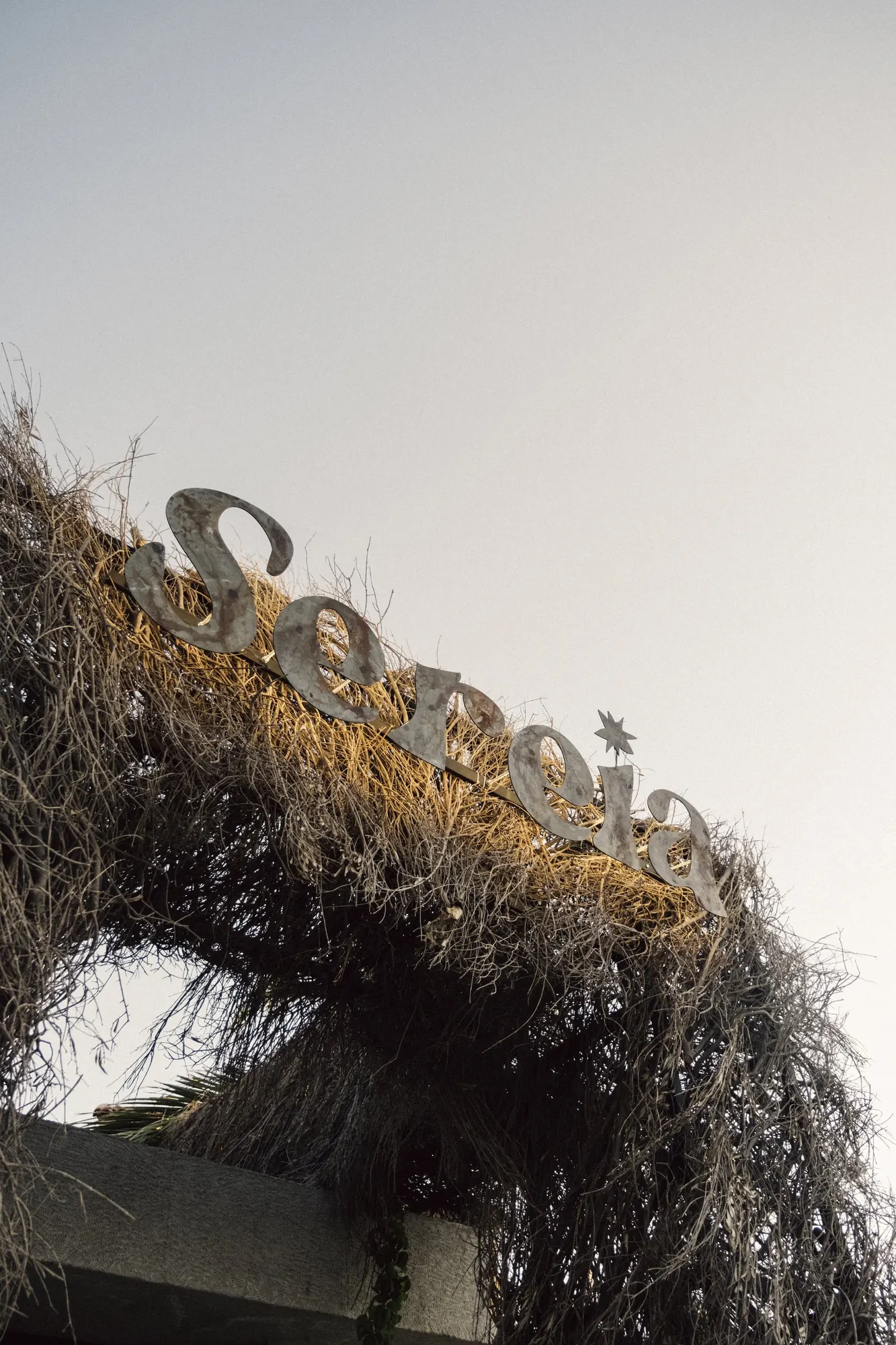 Sereia — Restaurant in Alachati, Turkey (photo 7)