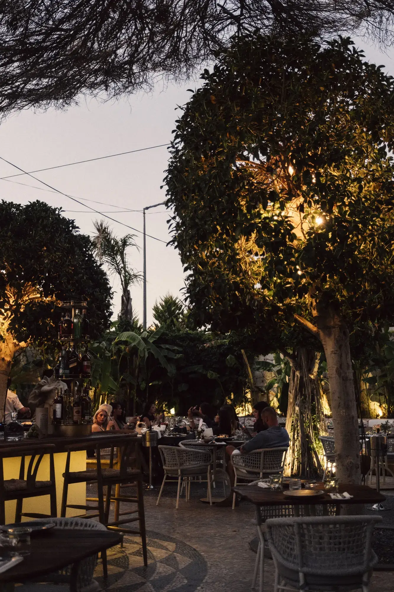 Sereia — Restaurant in Alachati, Turkey (photo 8)